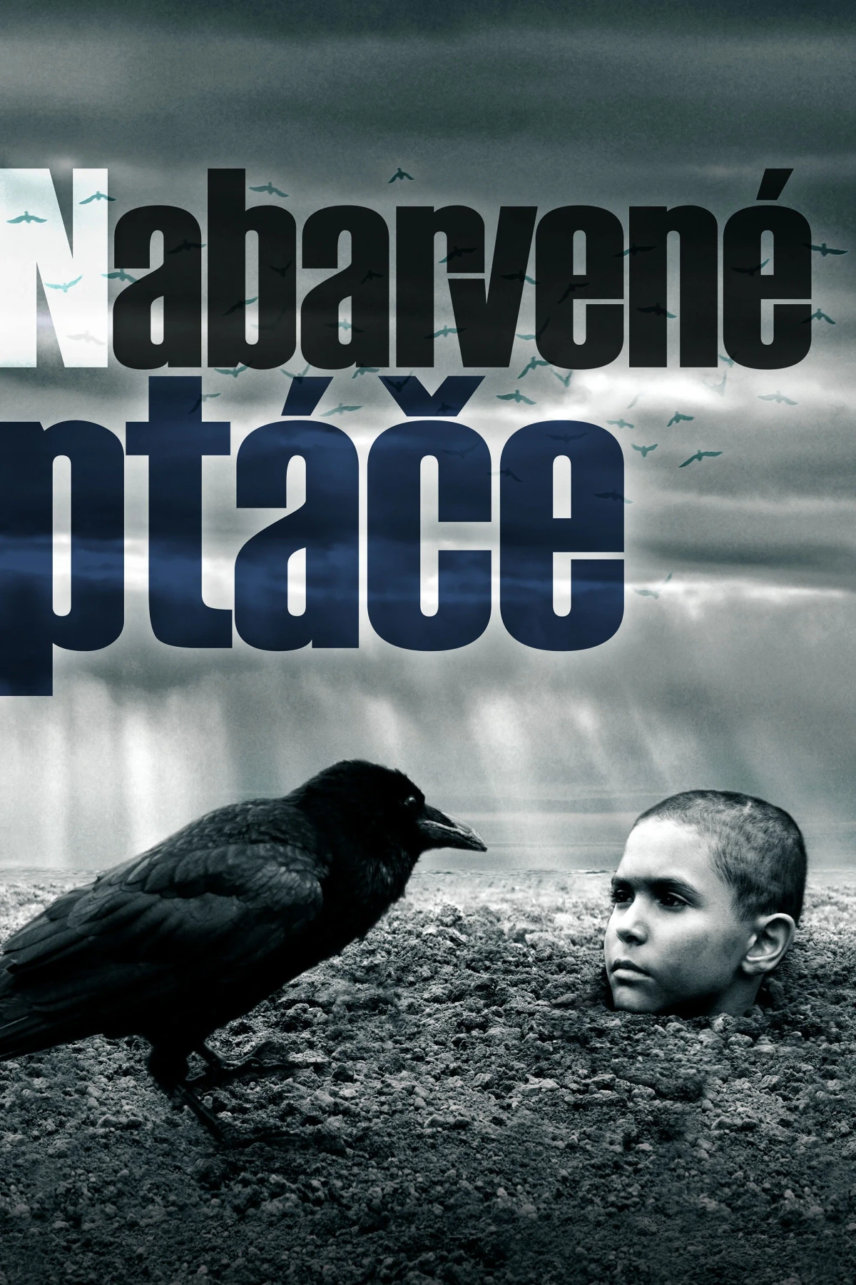 Постер фильма Раскрашенная птица