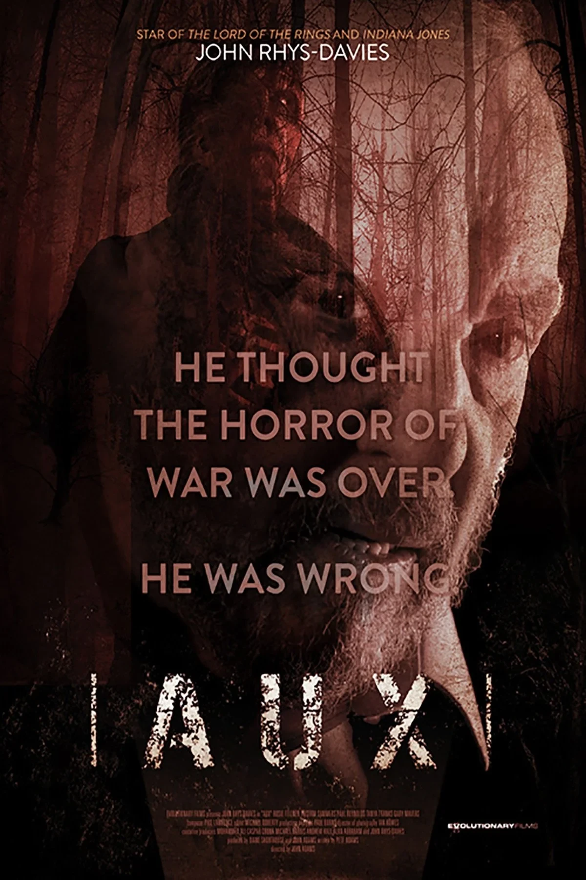 Постер фильма Отголоски войны