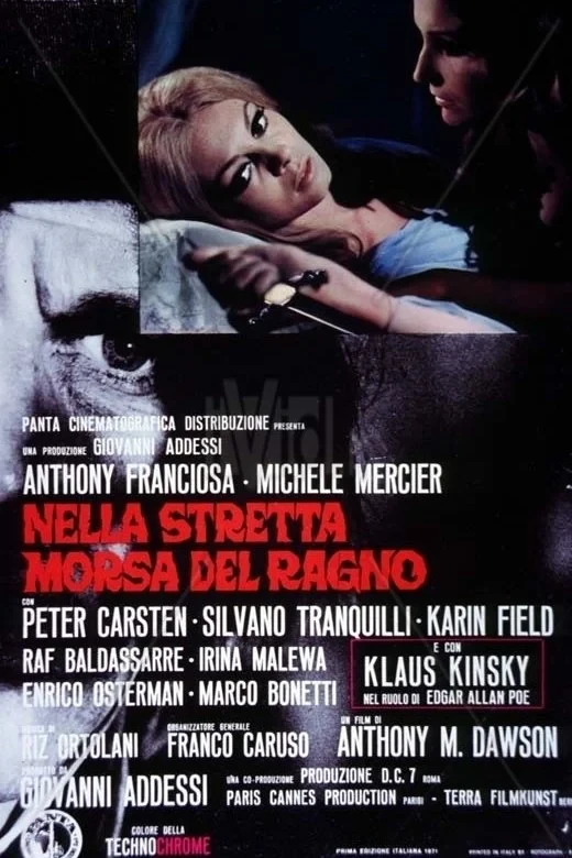 Постер фильма В объятиях паука