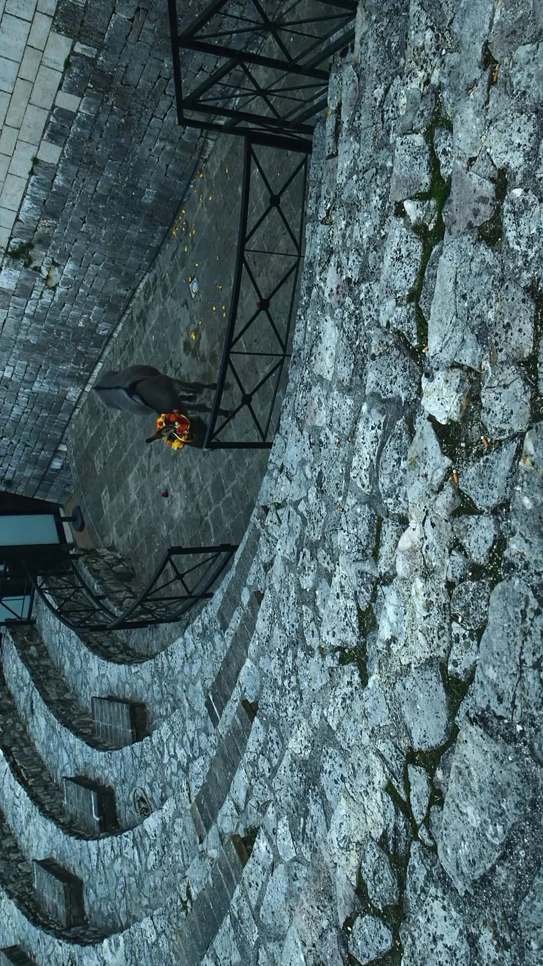 Постер фильма Осел