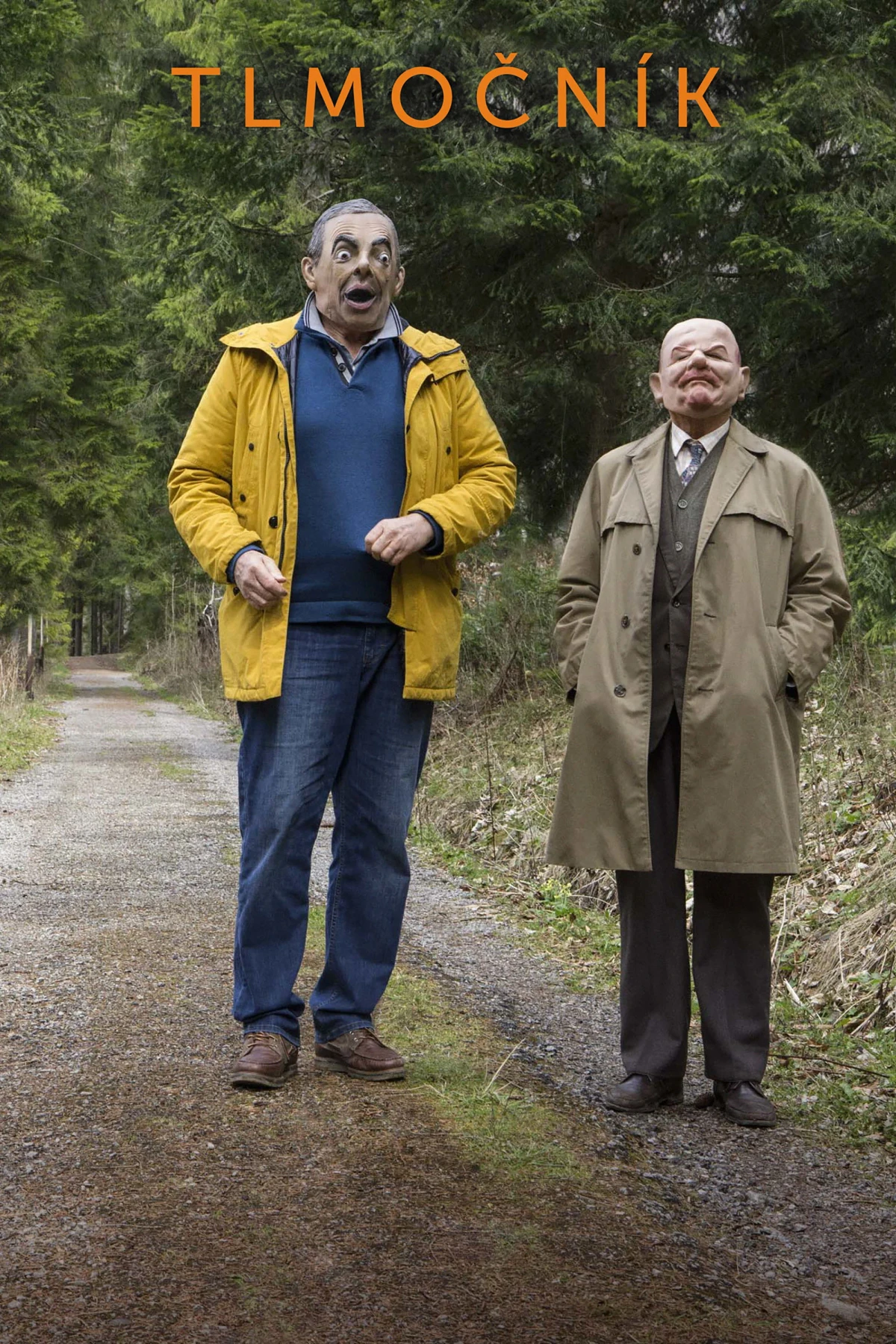 Постер фильма Переводчик