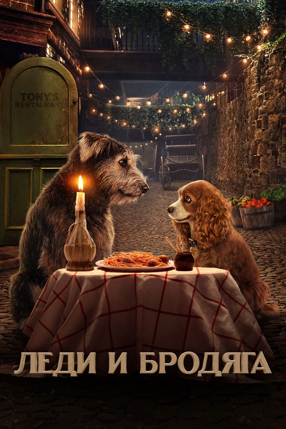 Постер фильма Леди и Бродяга