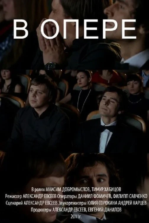 Постер фильма В опере