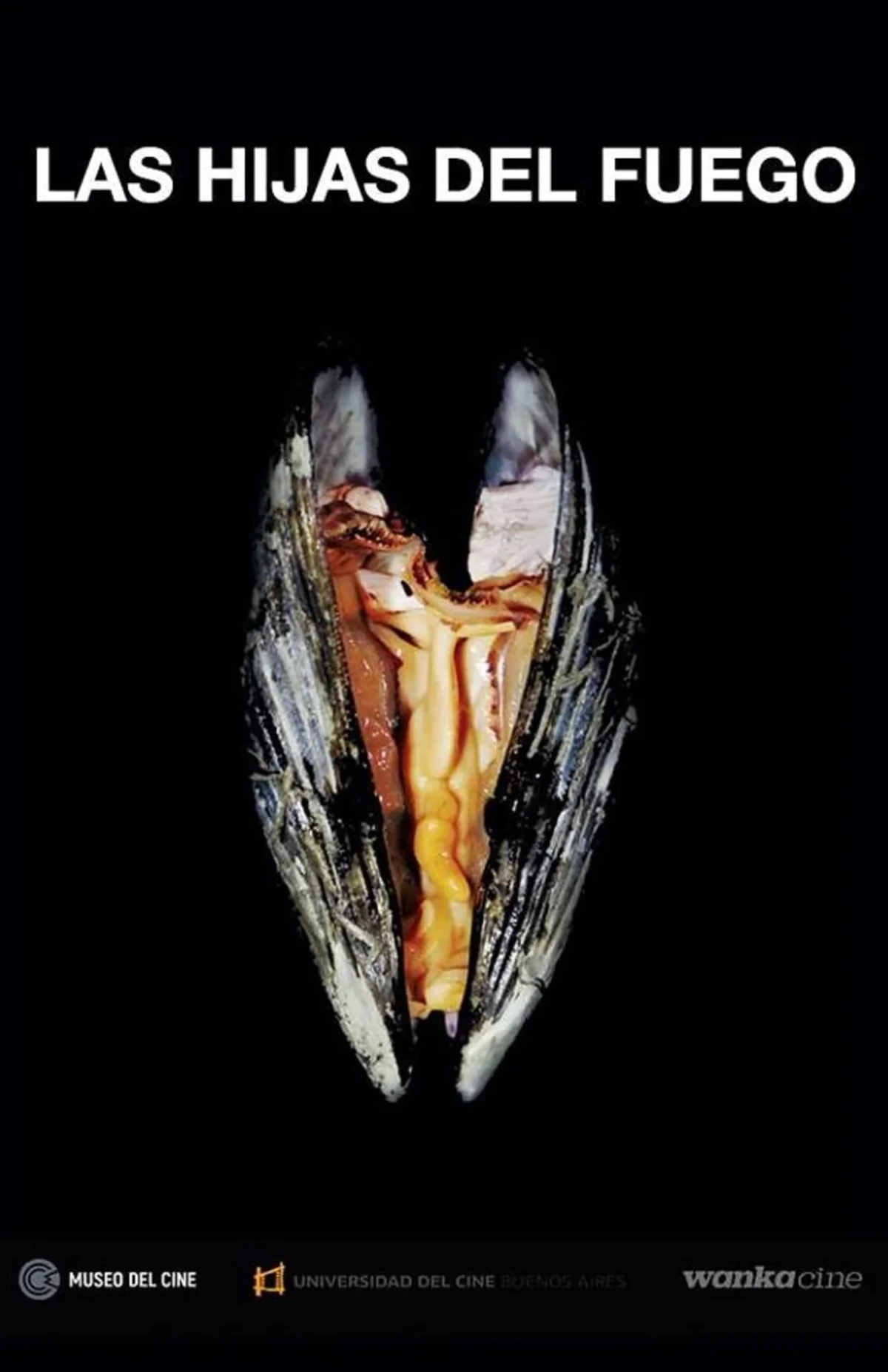 Постер фильма Дочери огня