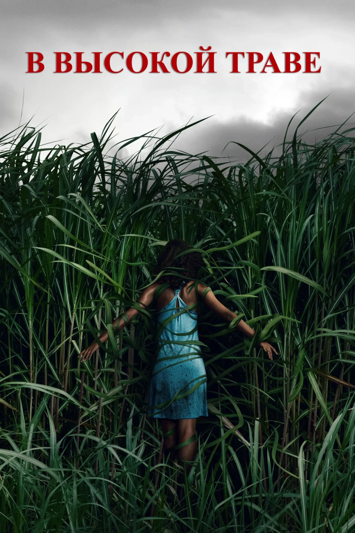 Постер фильма В высокой траве