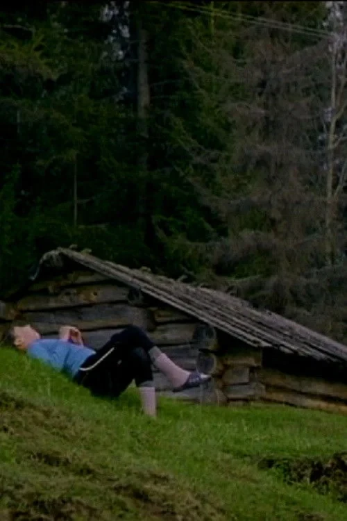 Постер фильма Солнечный день