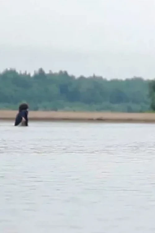 Постер фильма Фильм для одного человека