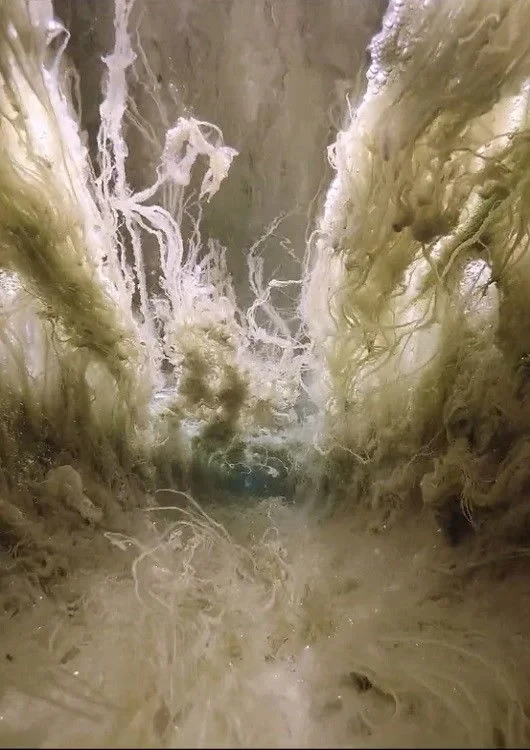 Постер фильма Поток VIII