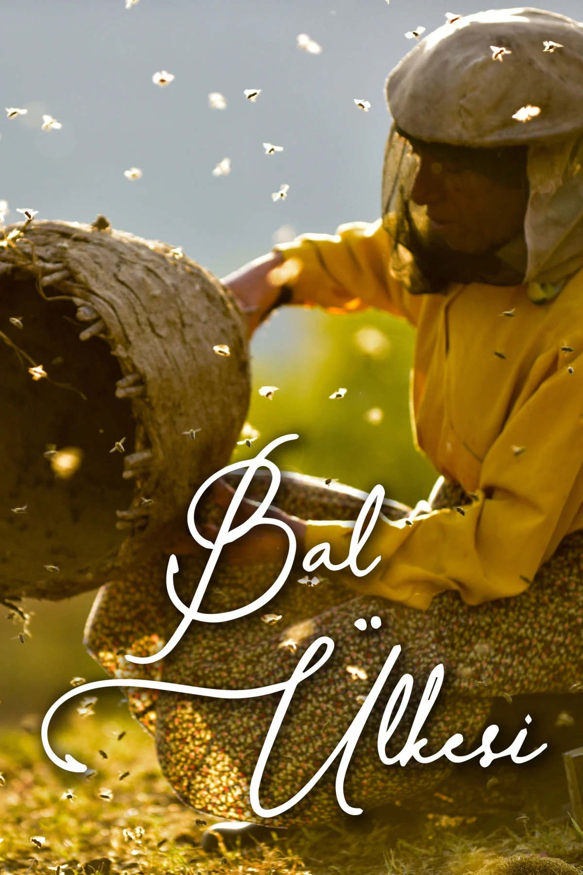 Постер фильма Страна меда