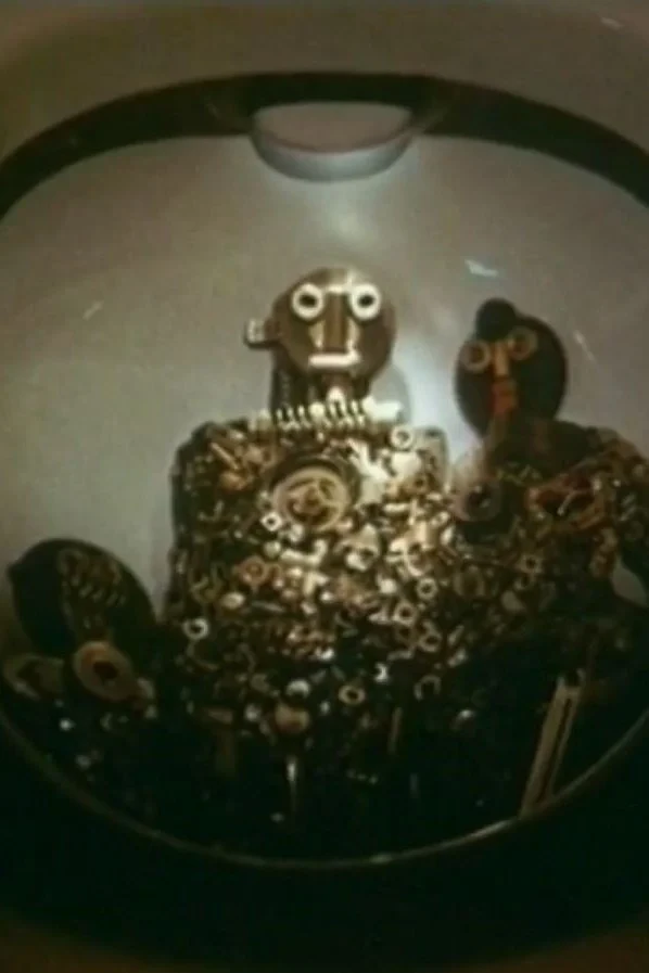 Постер фильма Первичные фотобиологические процессы