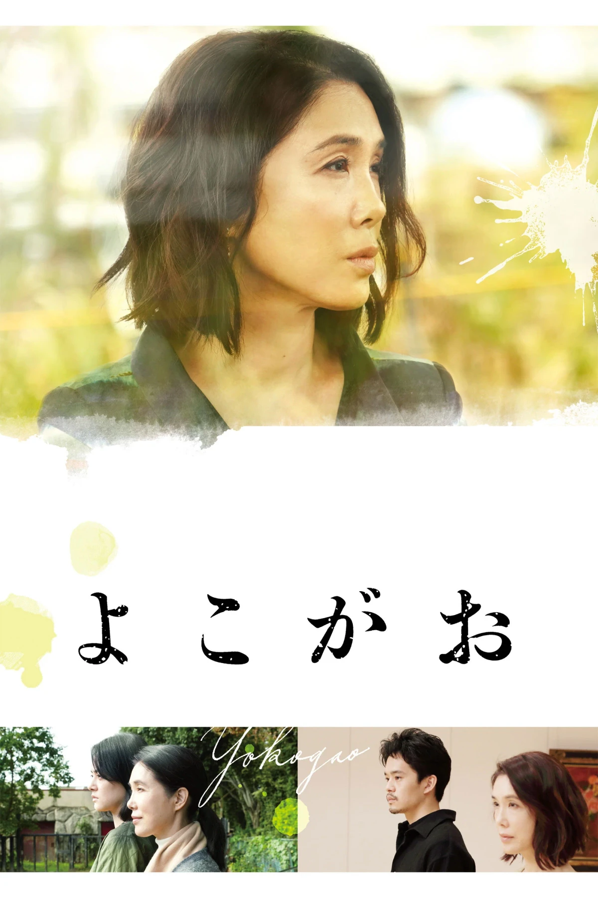 Постер фильма Исчезнувшая