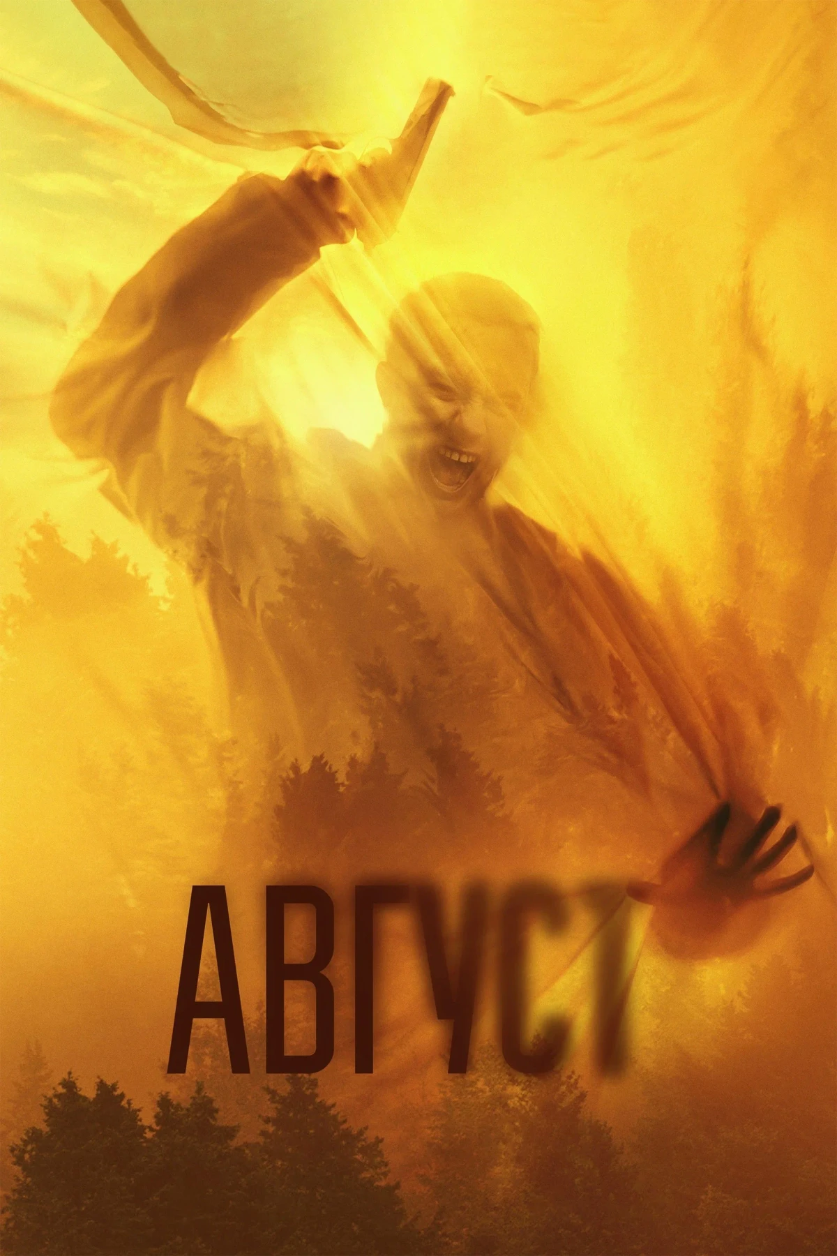 Постер фильма Момент истины