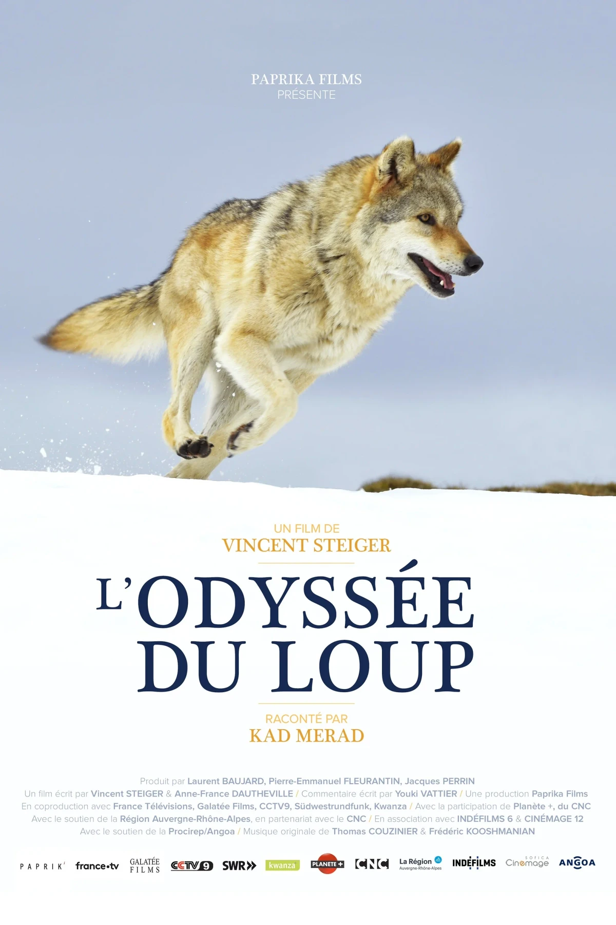 Постер фильма Путешествие волка