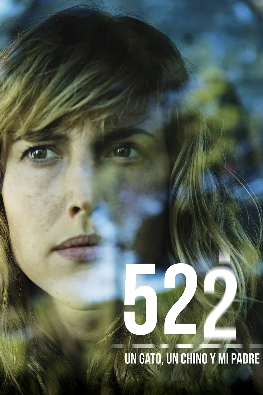 Постер фильма 522. Кошка, китаец и мой отец