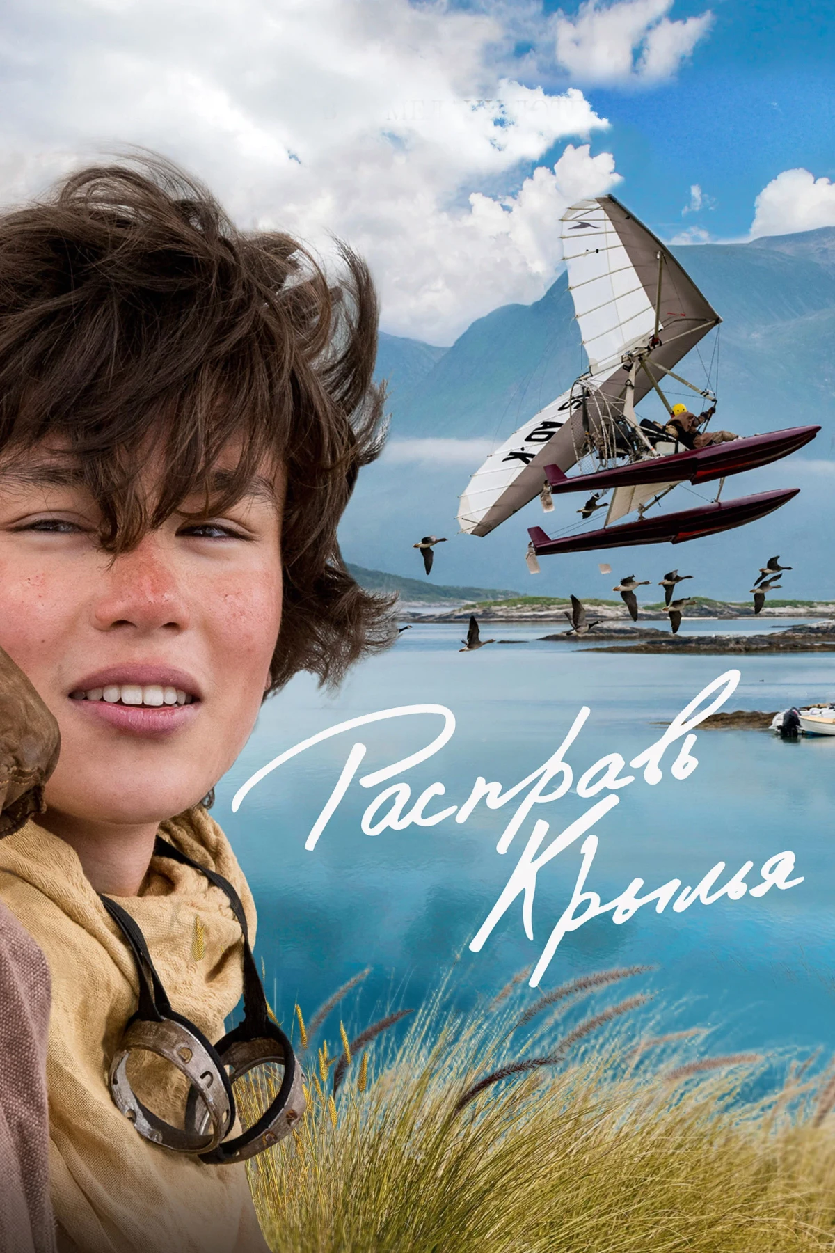 Постер фильма Расправь крылья