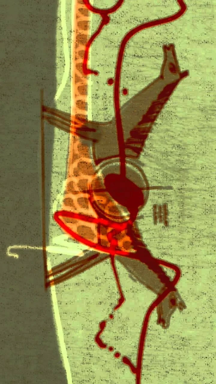 Постер фильма Гость на коне