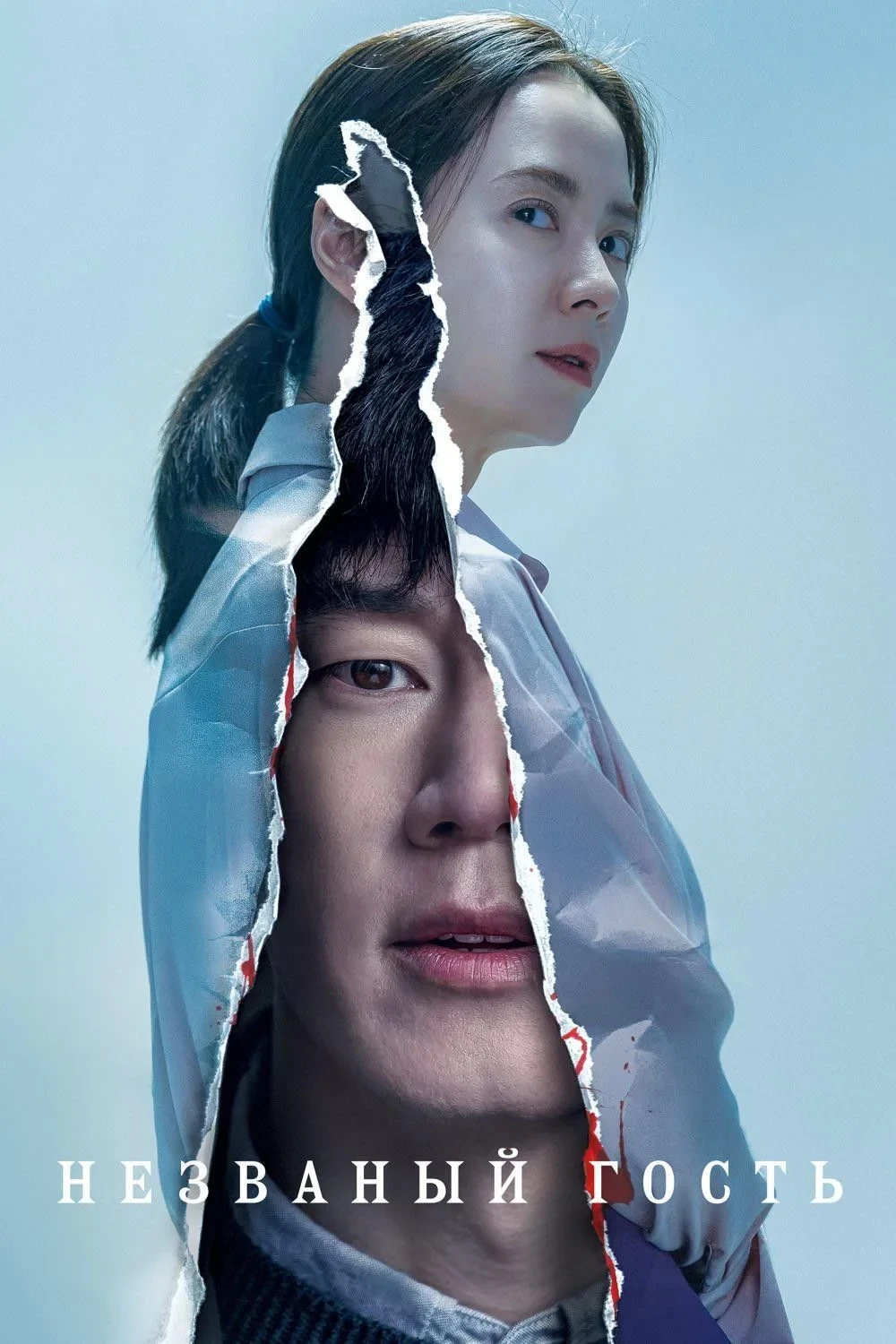 Постер фильма Незваный гость