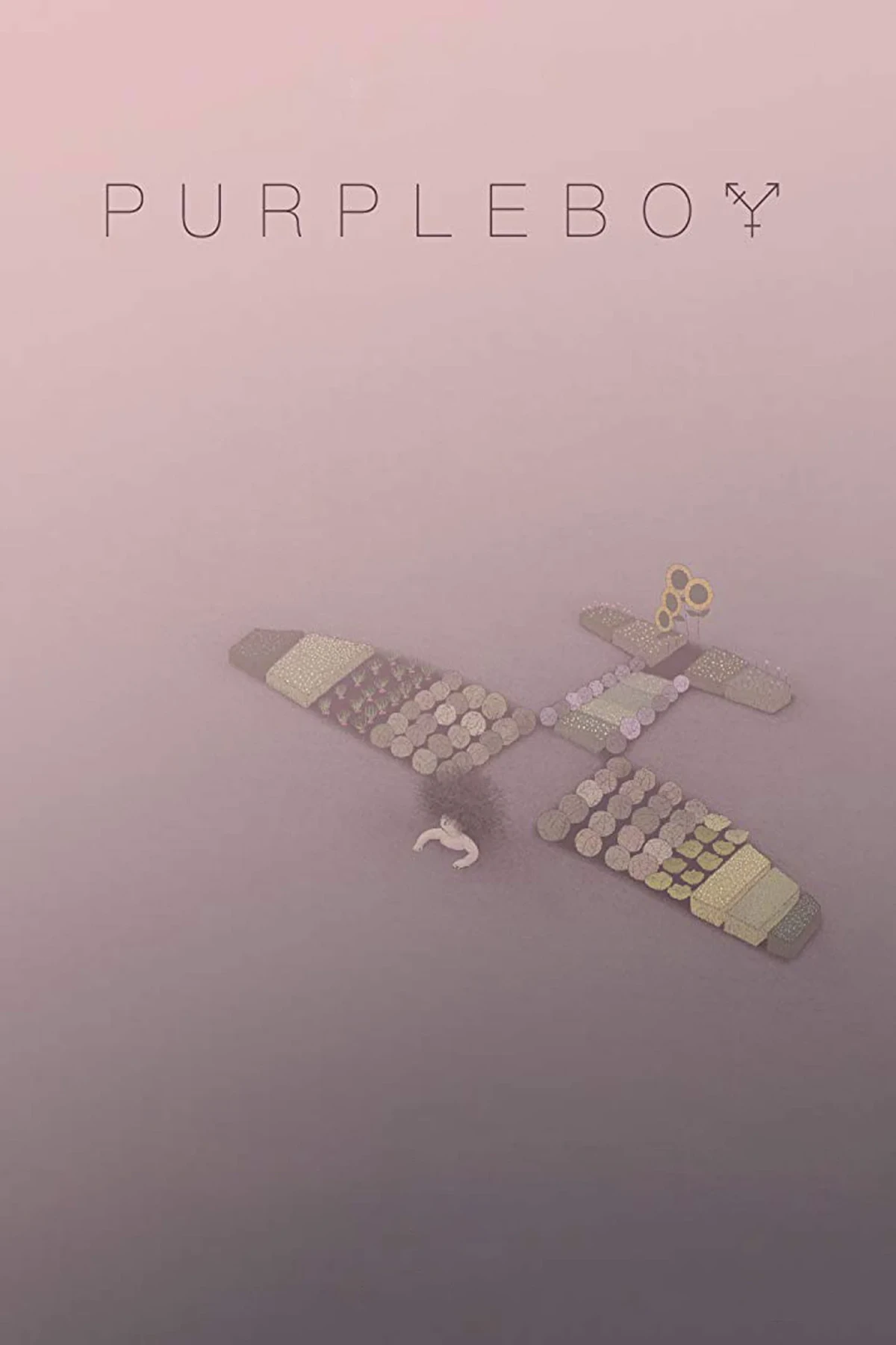 Постер фильма Пурпурный мальчик