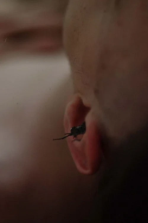 Постер фильма Чтоб зашло