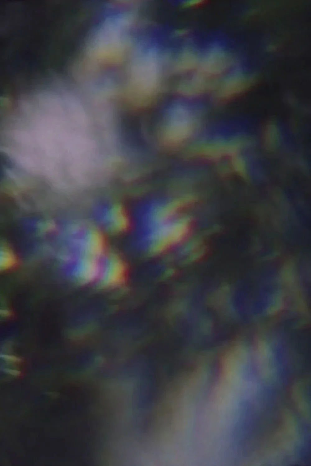 Постер фильма Дерево как человек