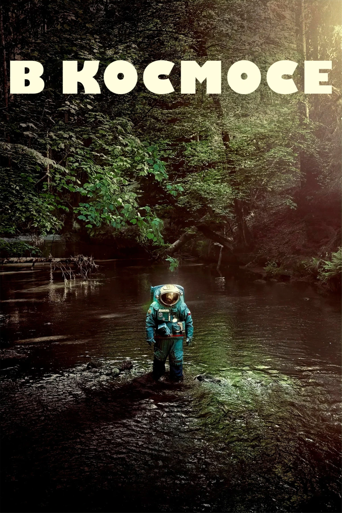 Постер фильма В космосе