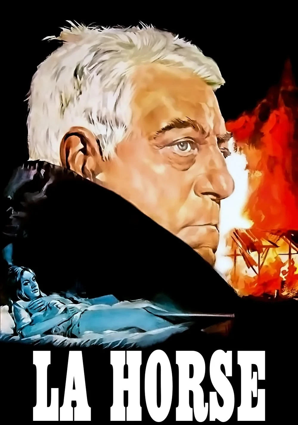 Постер фильма Тайна фермы Мессе