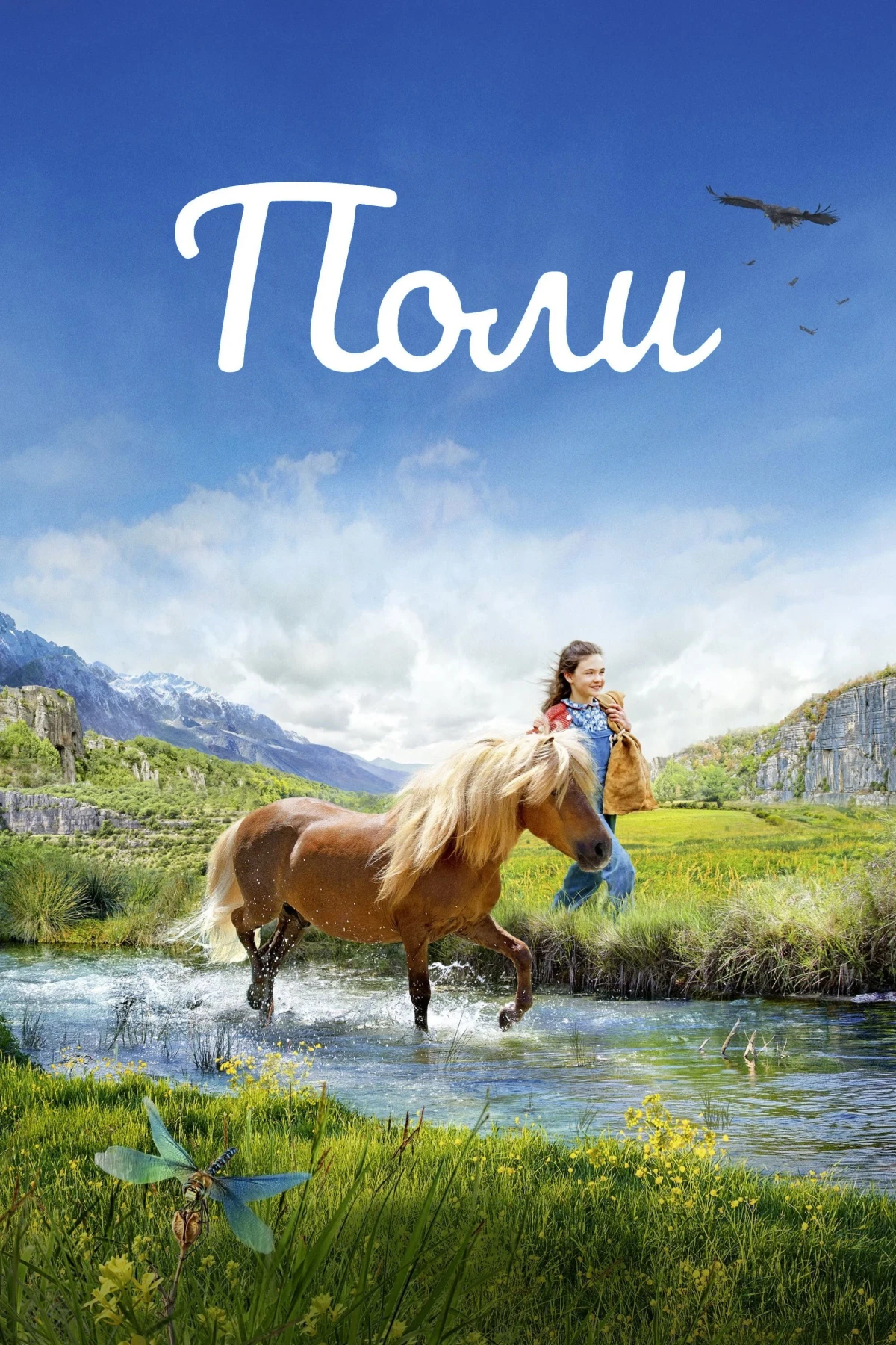 Постер фильма Поли