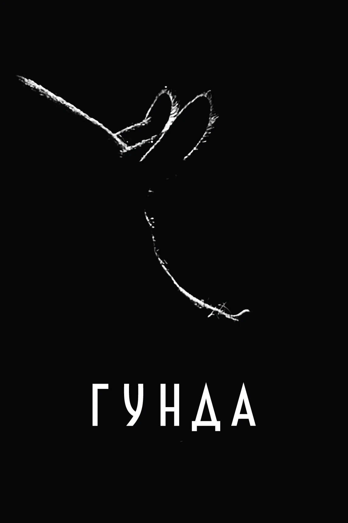 Постер фильма Гунда