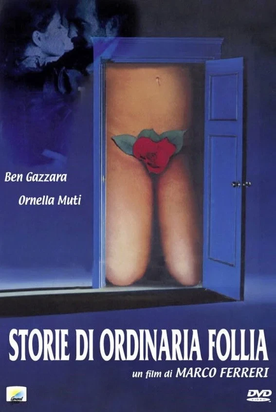 Постер фильма Истории обыкновенного безумия