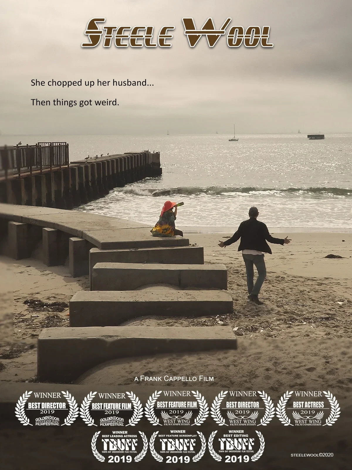 Постер фильма Стил и Вул