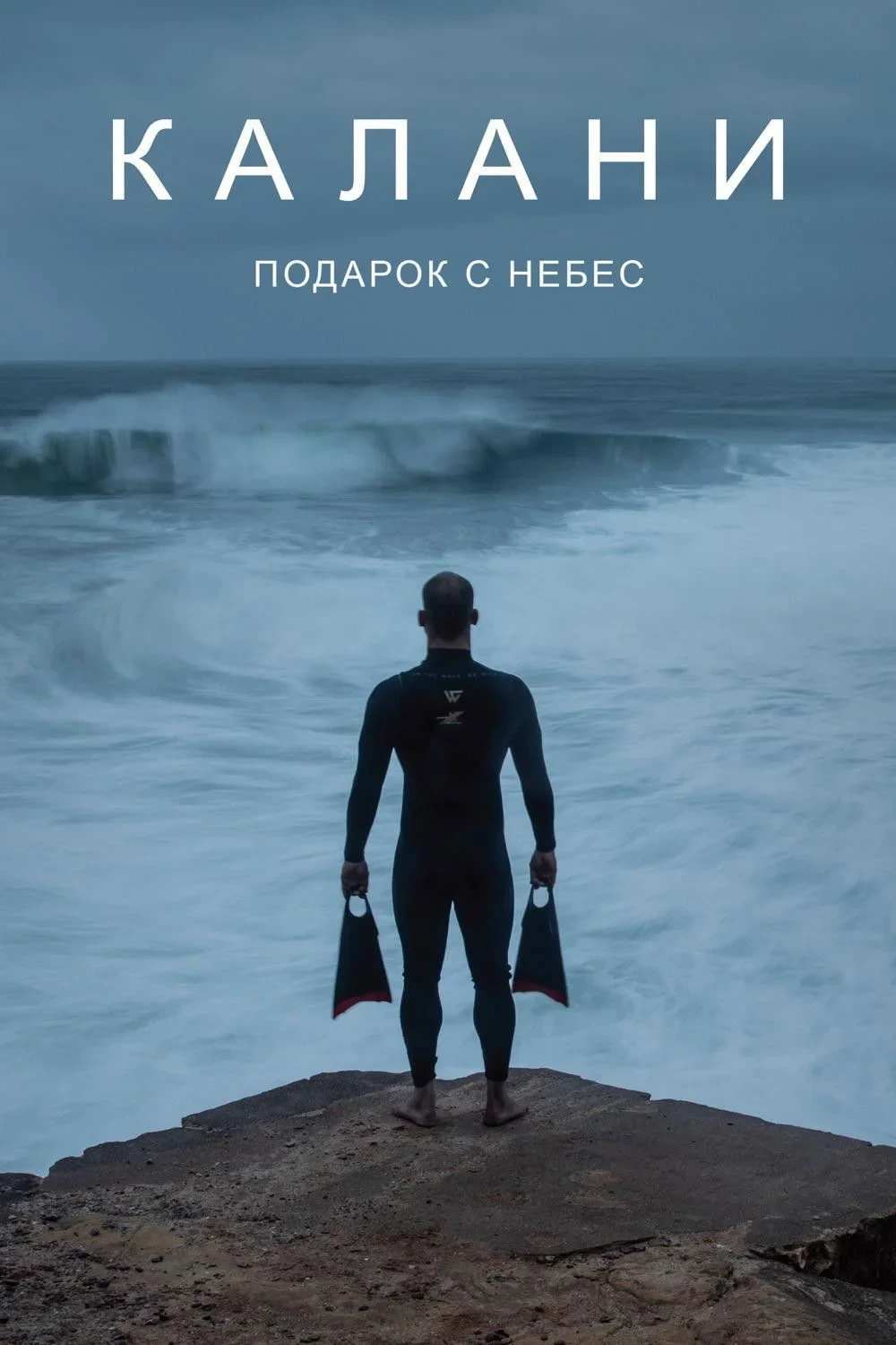 Постер фильма Калани: Подарок с небес