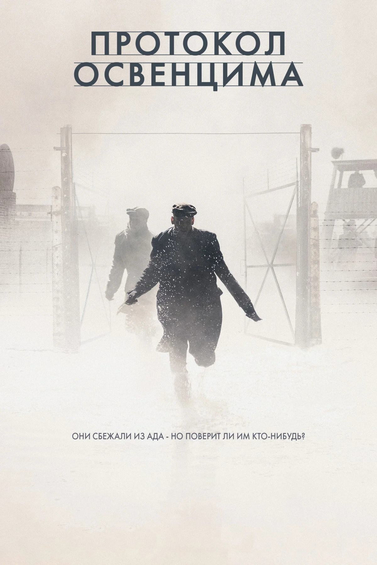 Постер фильма Протокол Освенцима