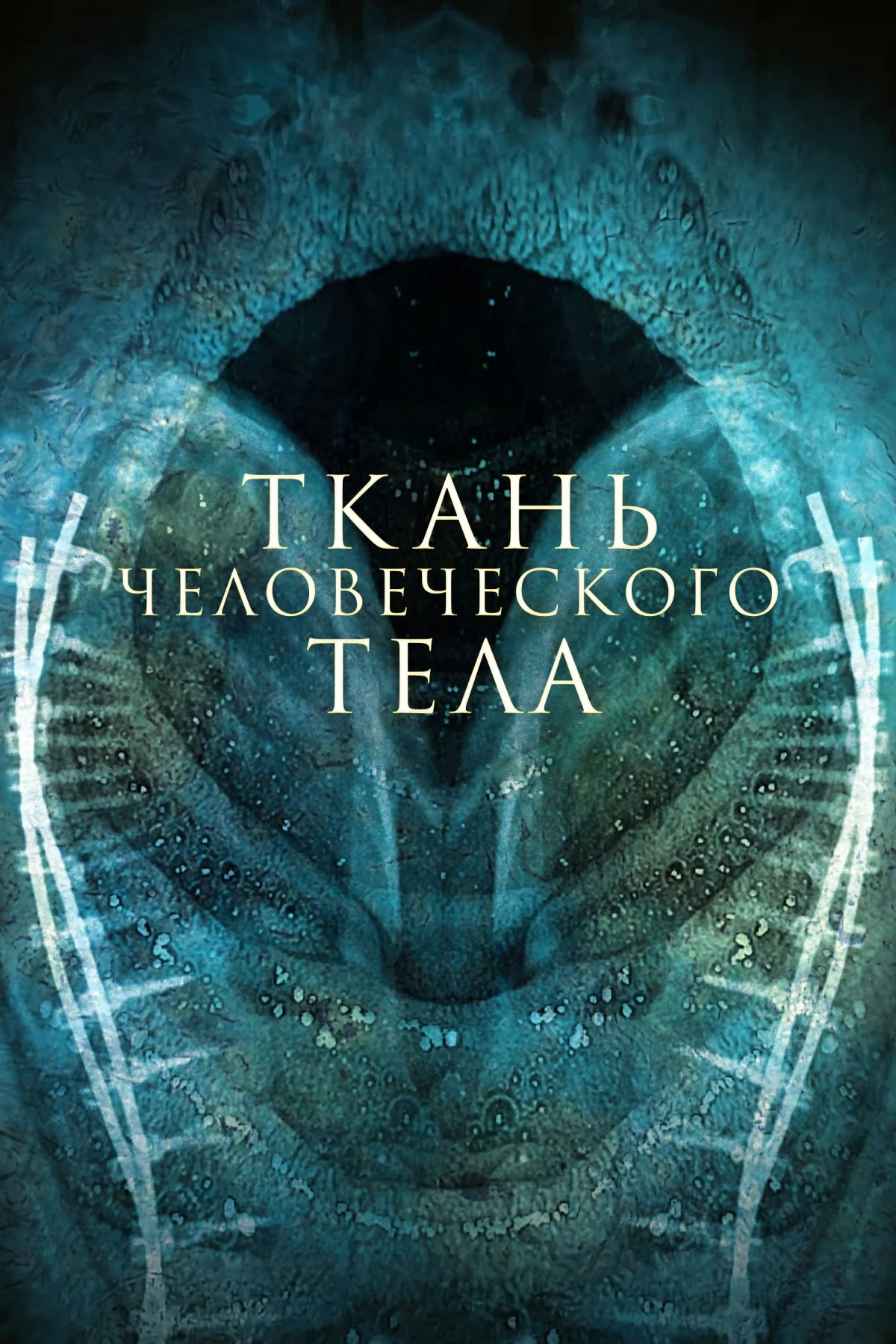 Постер фильма Ткань человеческого тела