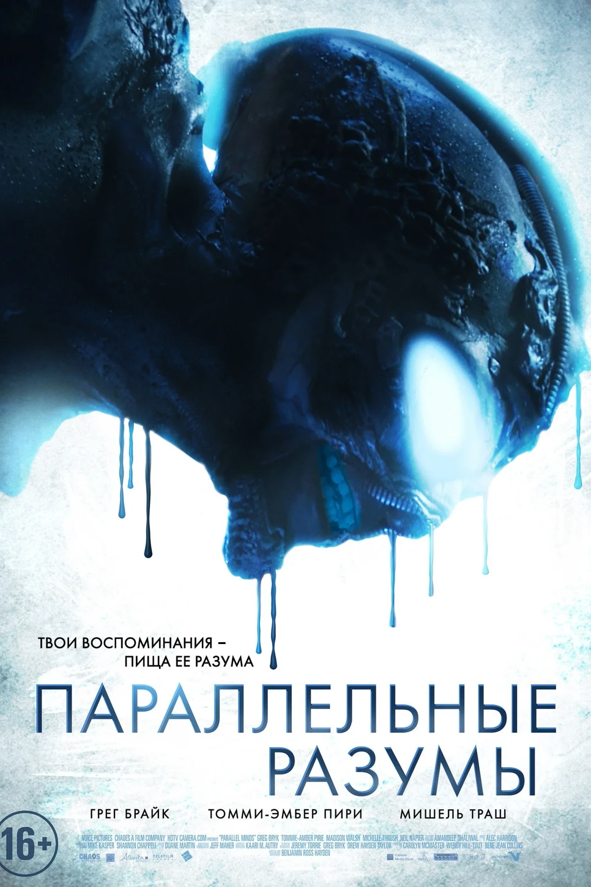 Постер фильма Параллельные Разумы