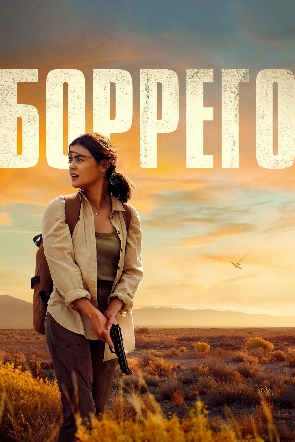 Постер фильма Боррего