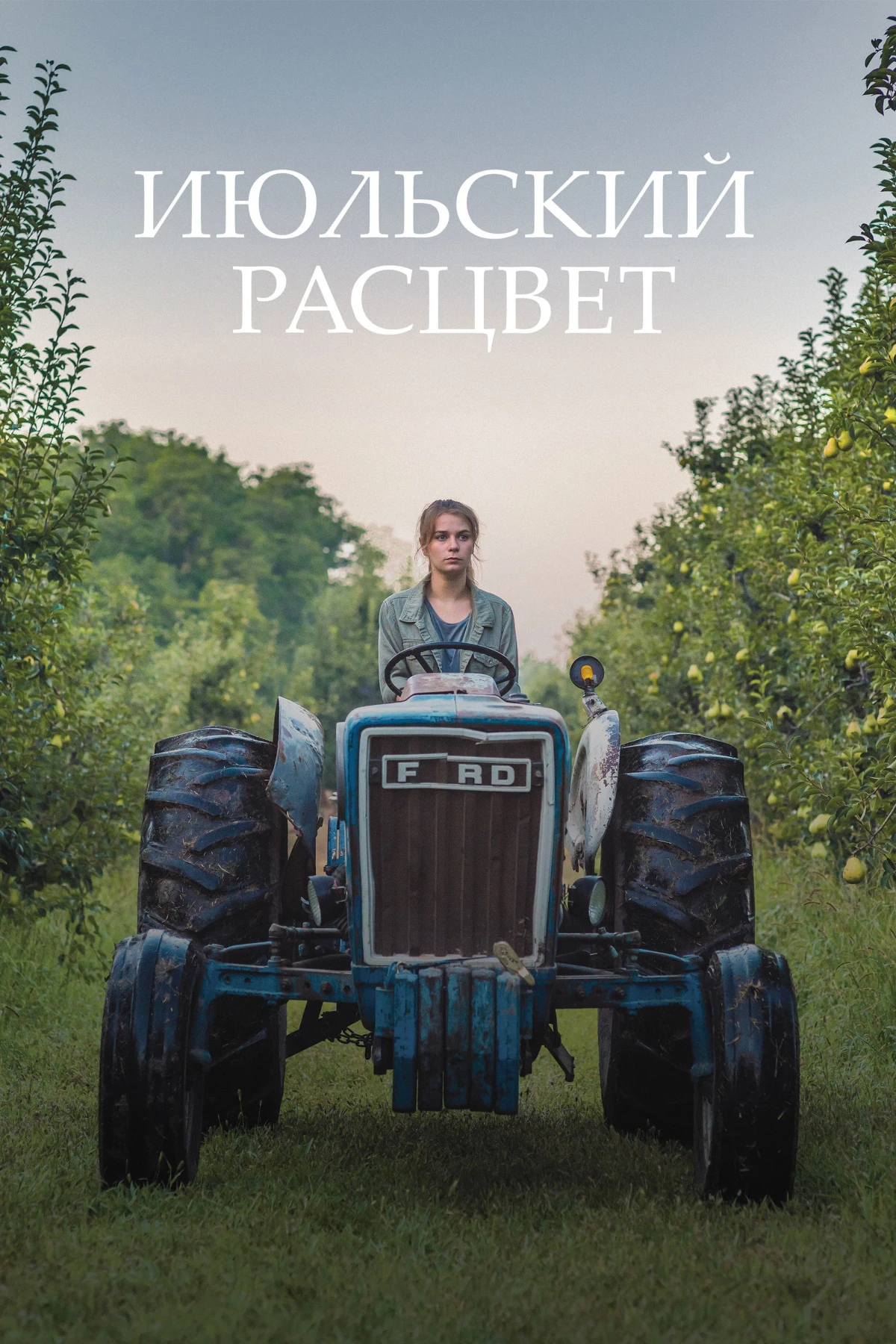 Постер фильма Июльский расцвет