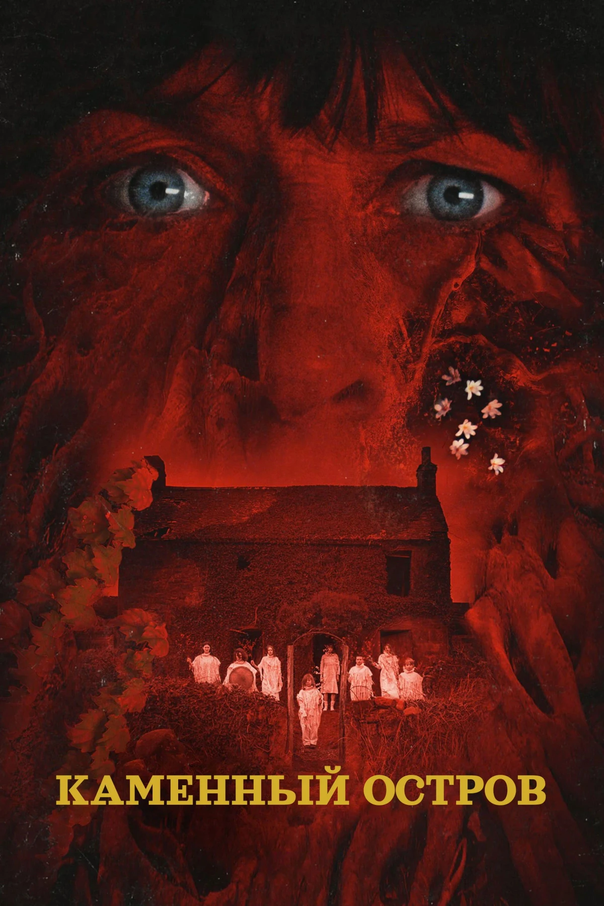 Постер фильма Каменный остров