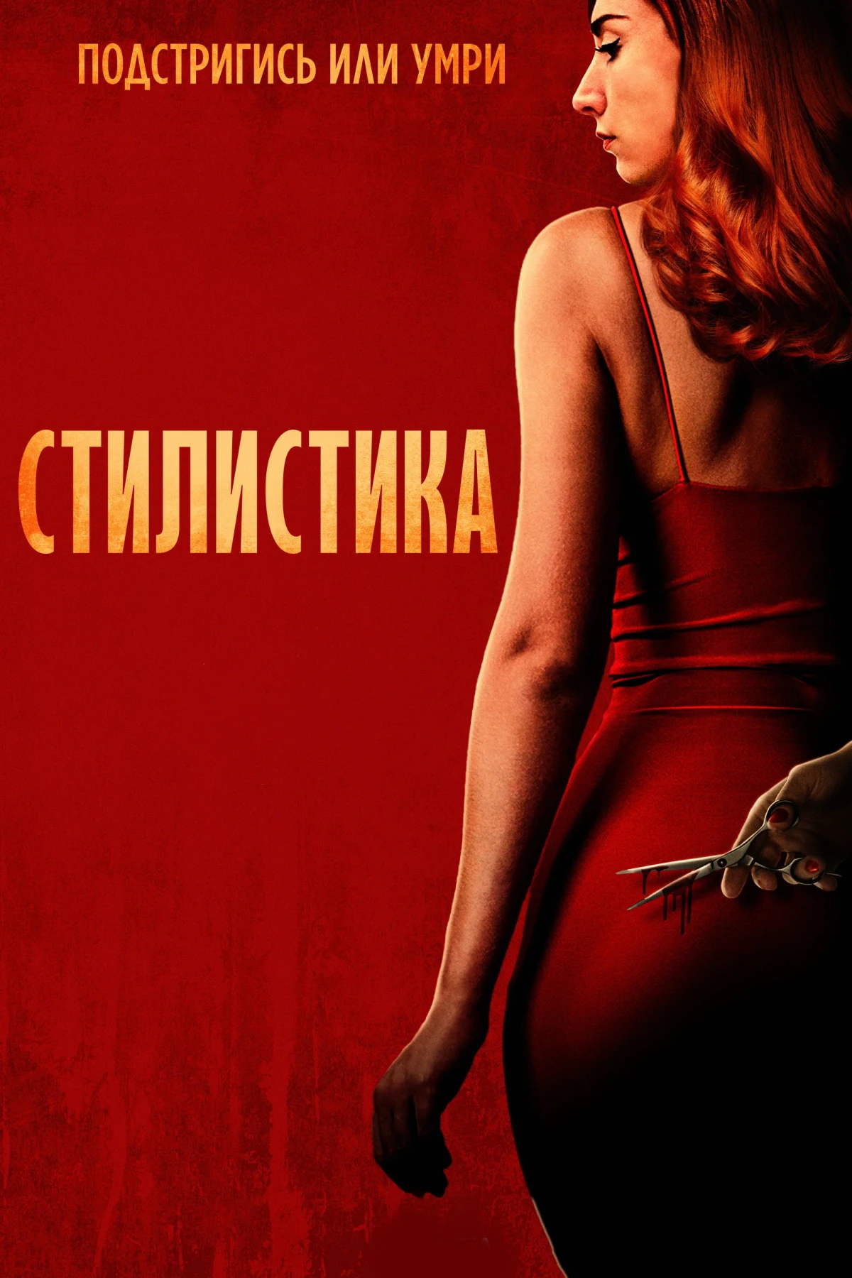 Постер фильма Стилист