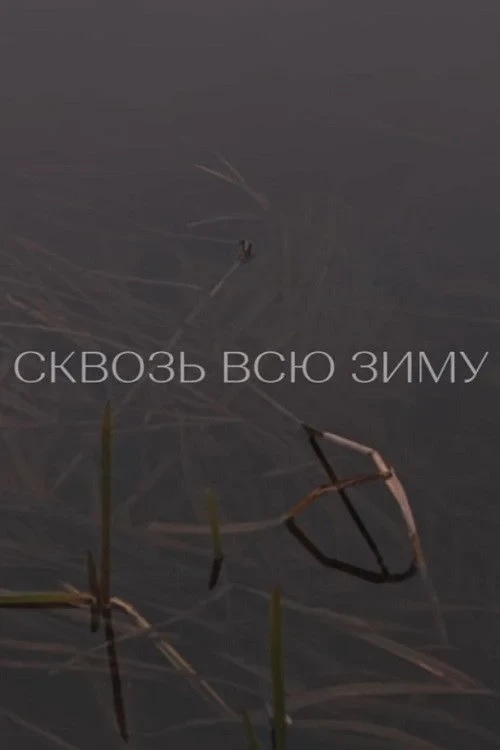 Постер фильма Сквозь всю зиму