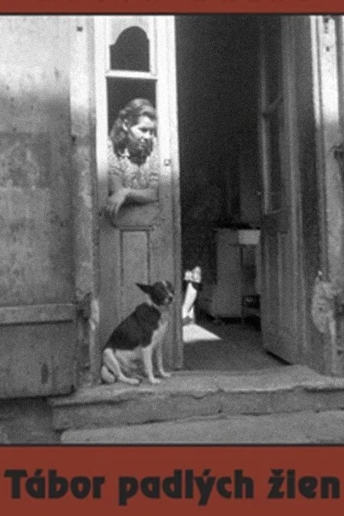 Постер фильма Лагерь падших женщин