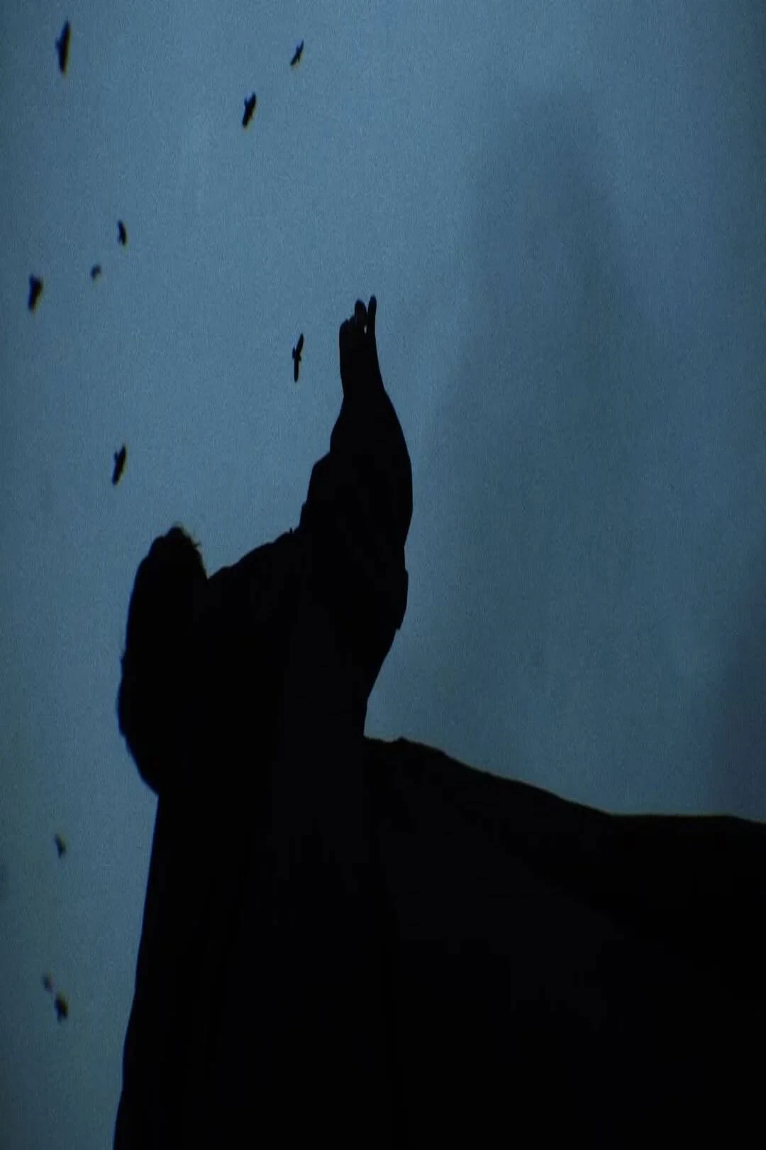 Постер фильма Вальс