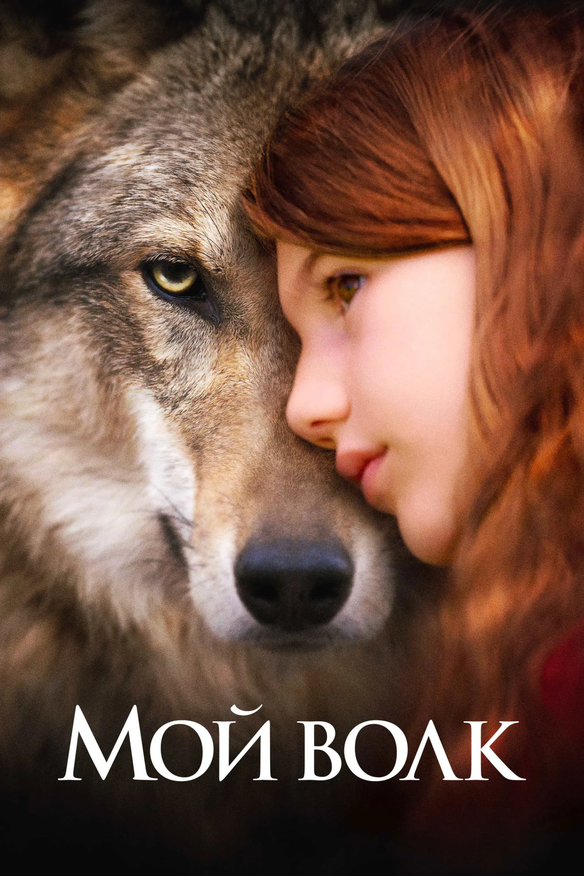 Постер фильма Мой волк