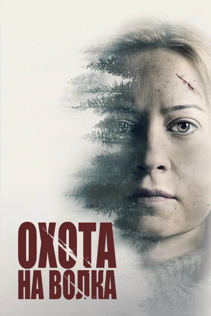 Постер фильма Охота на волка