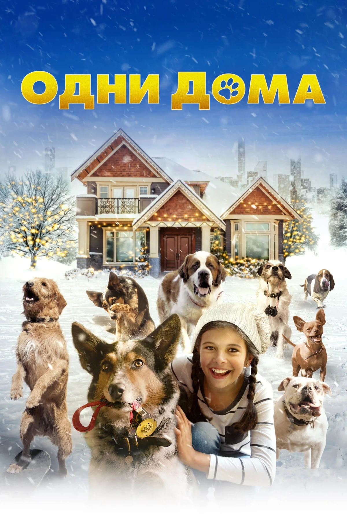 Постер фильма Одни дома