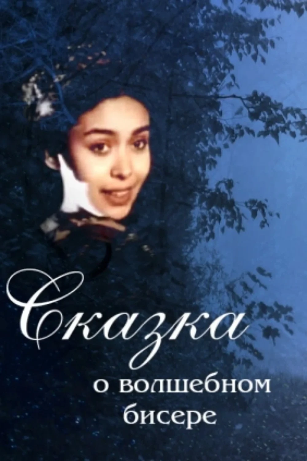 Постер фильма Сказка о волшебном бисере