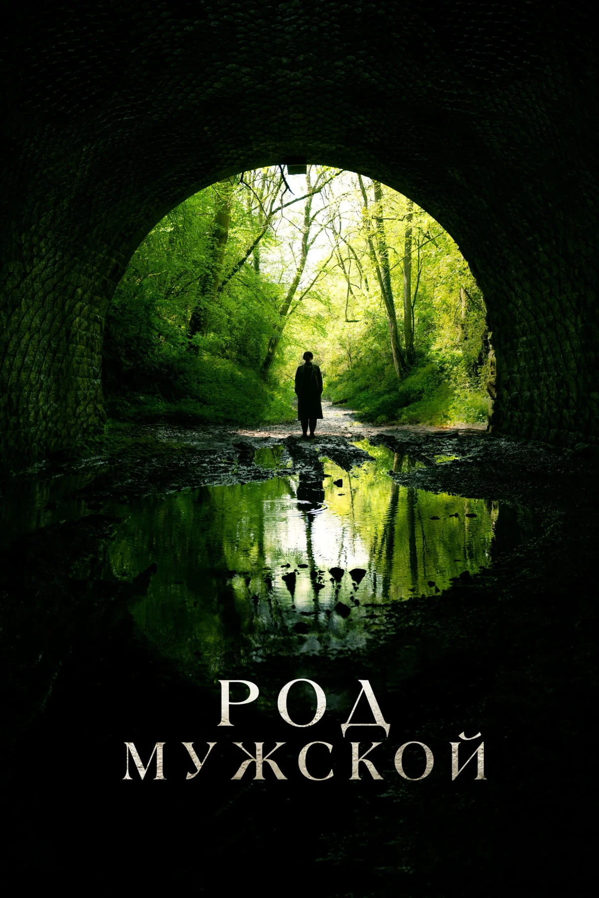 Постер фильма Род мужской