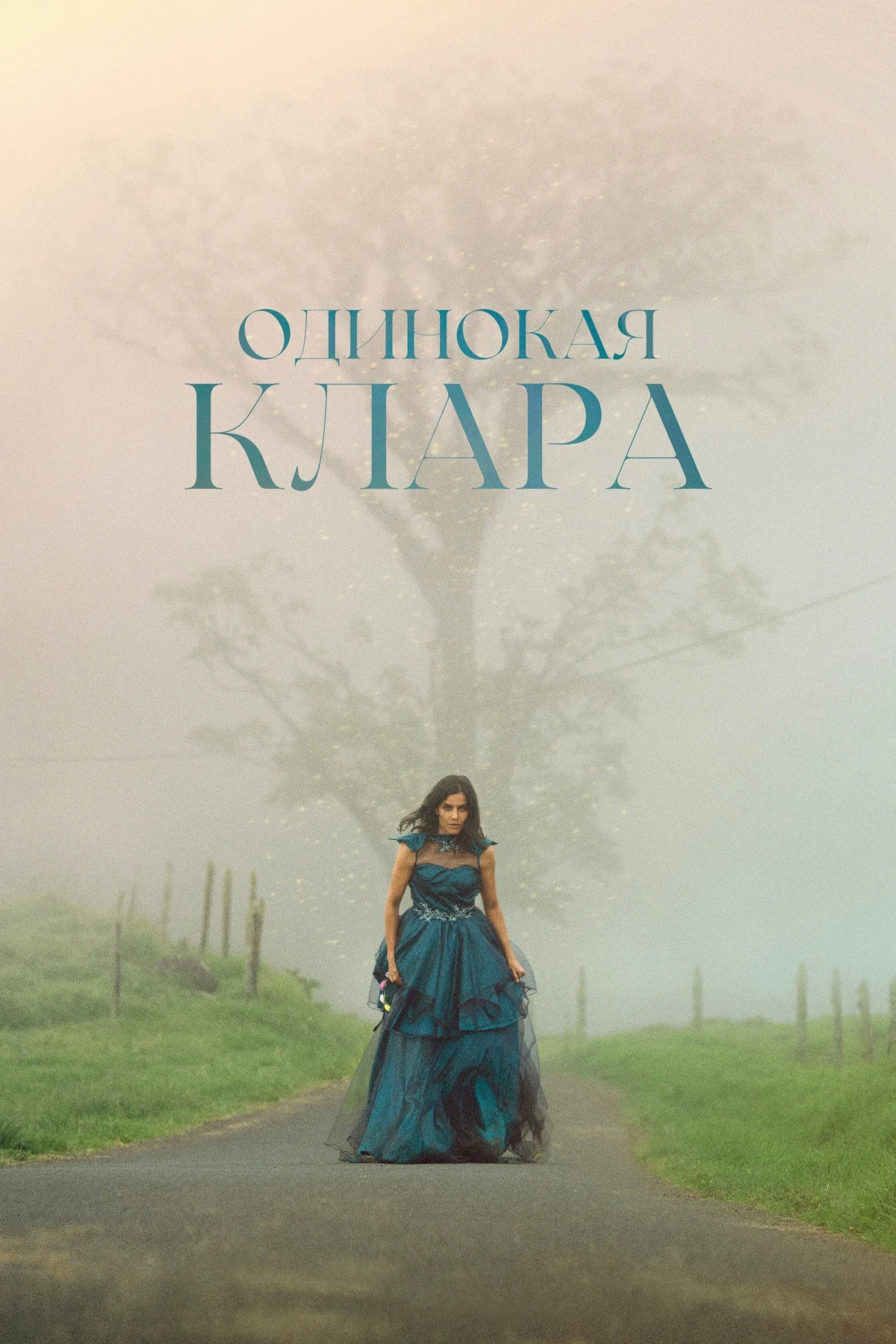 Постер фильма Одинокая Клара