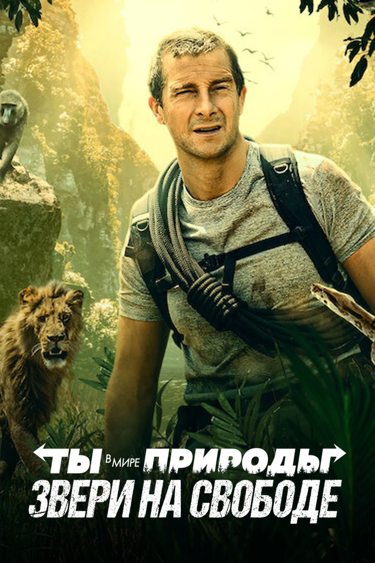 Постер фильма Ты в Мире Природы: Звери на Свободе