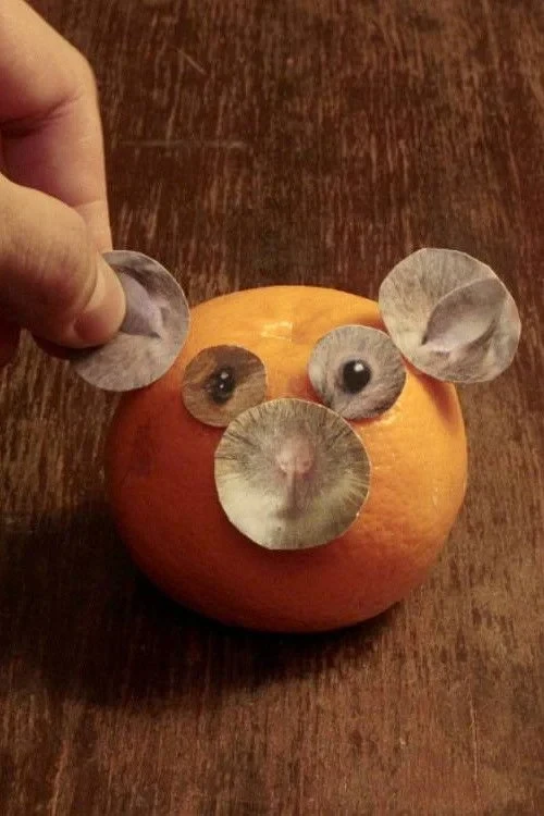 Постер фильма Набор для создания мышки