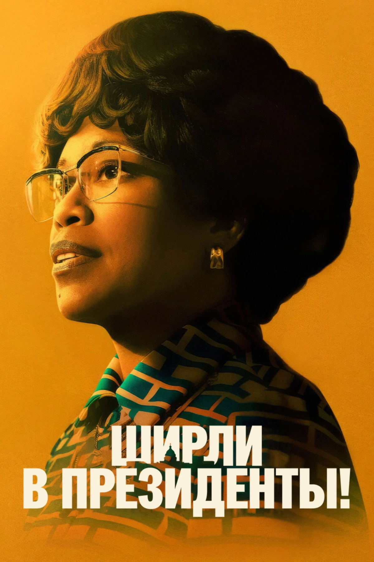 Постер фильма Ширли в президенты!
